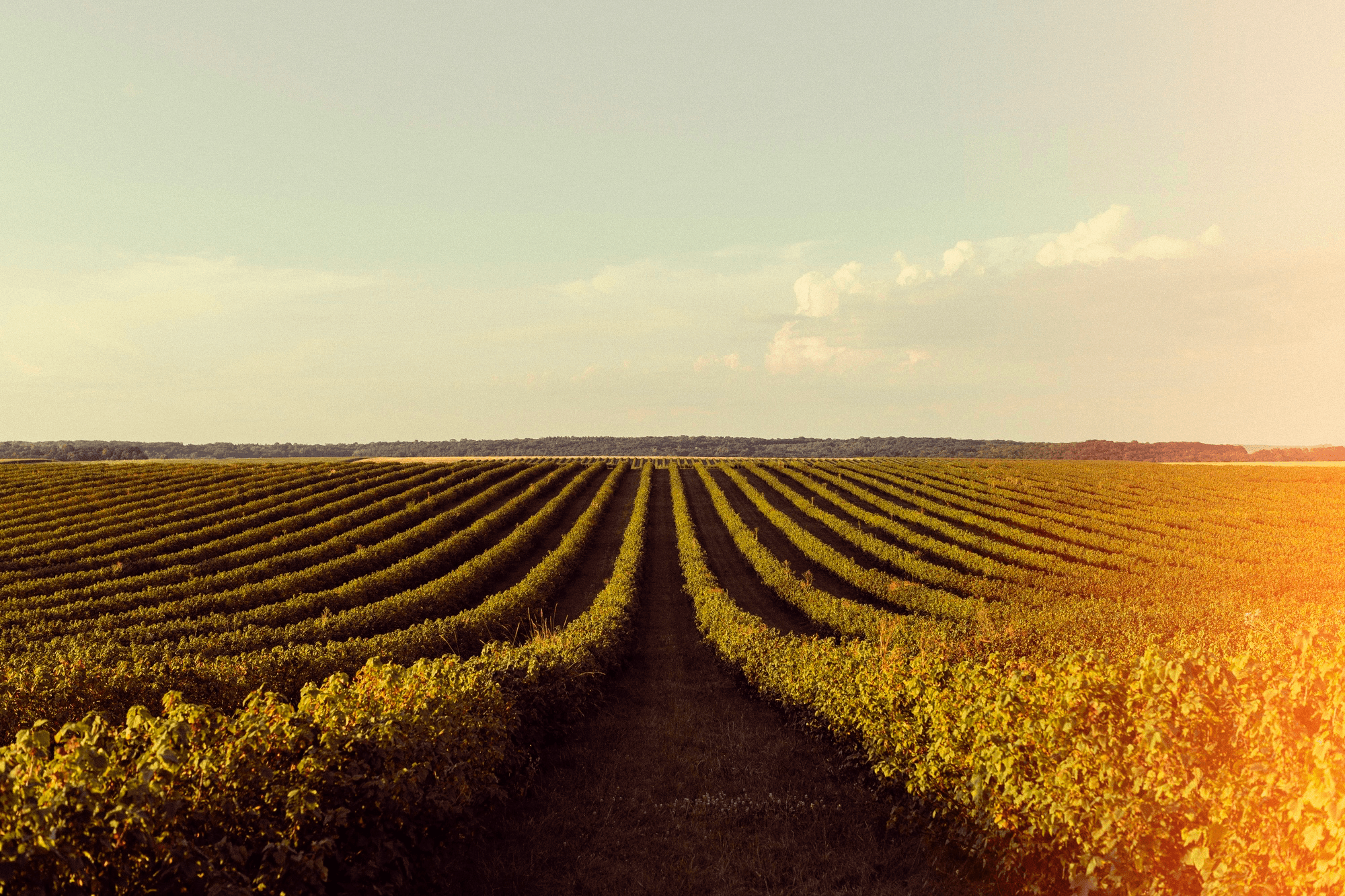 Fazenda e agronegócio
